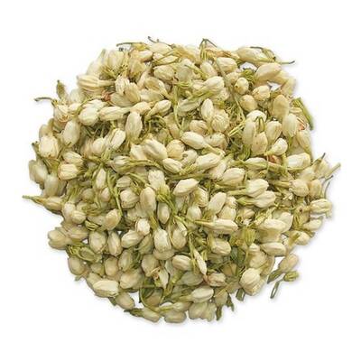 White Jasmine Flower Buds - 1